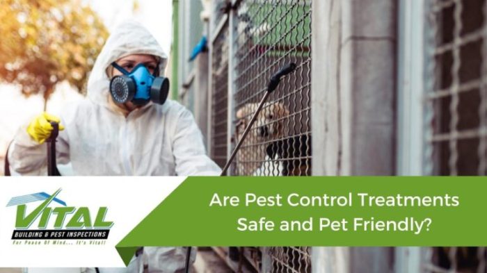 Child and pet-safe pest treatments